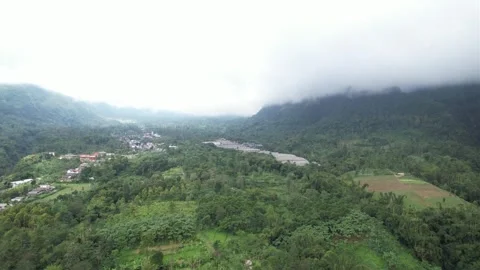 Top down view drone of the green forest and foggy mountains Stock Footage 258312720