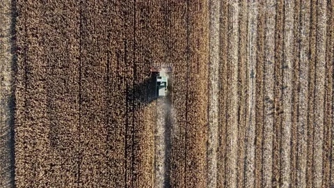 Top down view drone shot zooms up from wheat harvester in the field Stock Footage 202269667