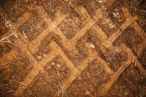 Top-down view of dry brown soil texture embedded with a distinct geometric .. Stock Photos
