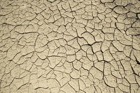 A top-down view of dry, cracked earth texture in an arid environment. This hi Stock Photos
