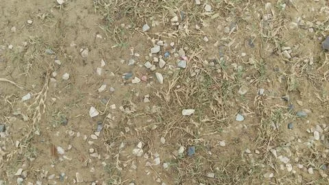 Top down view dry dusty earth small pebbles sparse wild green grass 写真素材