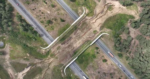 Top down view on a dutch Ecoduct, passage for wildlife over the highway. Stock Footage 247320975