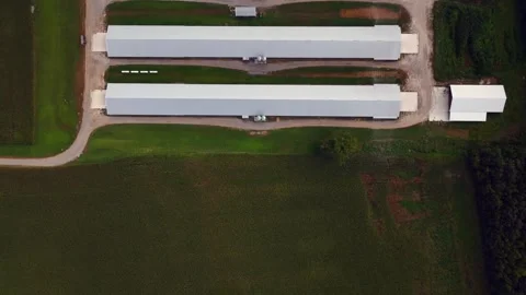 A top down view of eight parallel farm buildings with metal roofs. They Stock Footage 249533493