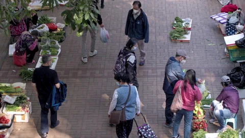 Top down view, elderly selling garden harvest for living Stock Footage 252437051