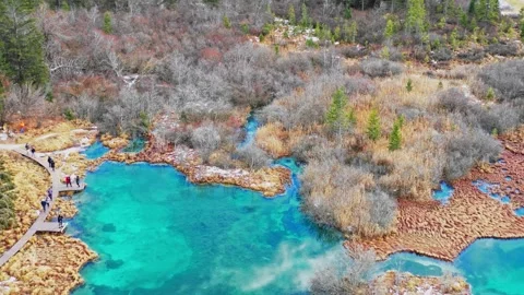 Top down view of emerald spring pools Zelenci Slovenia Stock Footage 324712613