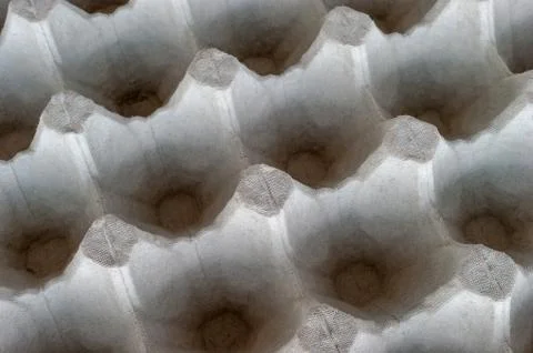 Top-Down View of an Empty Biodegradable Molded Pulp Fiber Egg Carton Tray. Stock Photos
