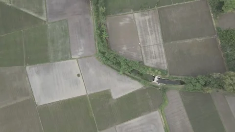 Top down view of empty rice fields Stock Footage 264245657
