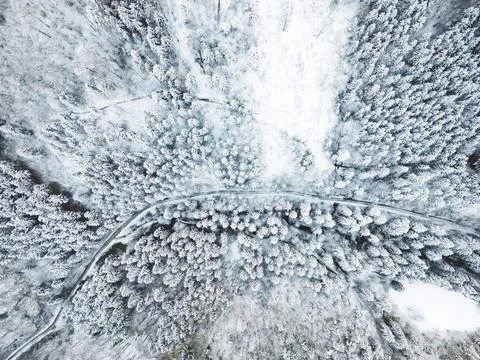 Top down view of an empty road trough snowy winter forest Stock Photos