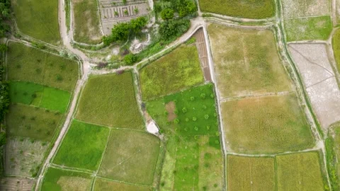 Top-down view of farm fields Stock Footage 274535318