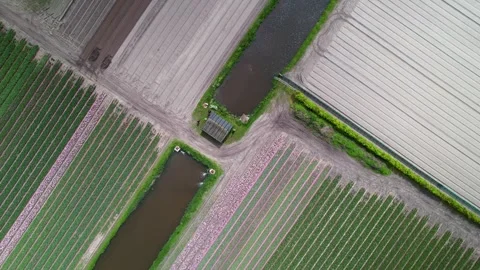 Top down view of Farm lands with canals in Netherlands countryside. Stock Footage 246727739