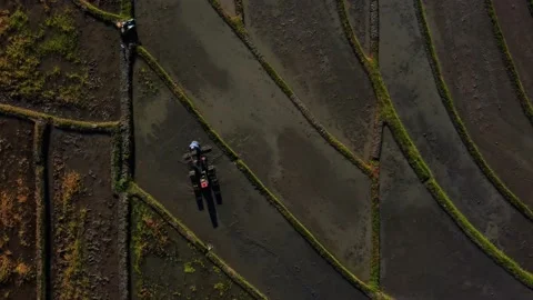 Top down view farmers working on rice terrace Stock Footage 157905140