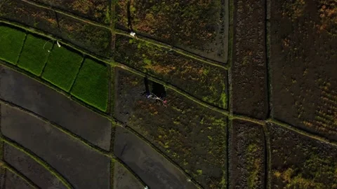 Top down view farmers working on rice terrace Stock Footage 159640086