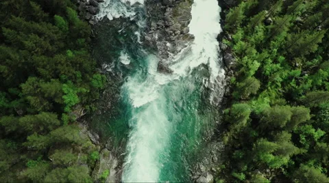 Top Down view of Fast Moving River with Rapids Surrounded by Pine Forest. Stock Footage