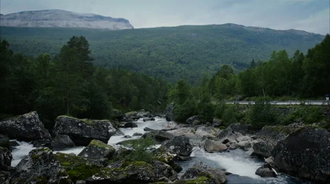 Top Down view of Fast Moving River with Rapids Surrounded by Pine Forest. Stock Footage 65856004