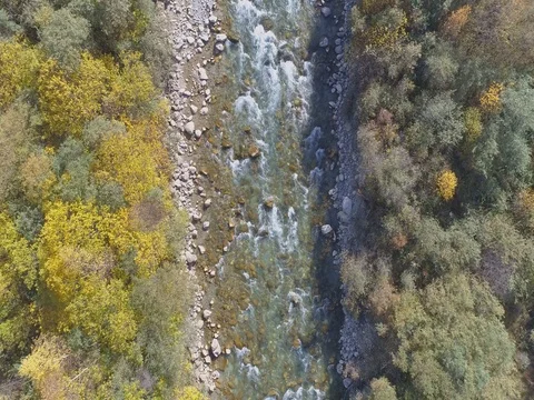 Top down view of fast moving river surrounded by forest Stock Footage 83709095