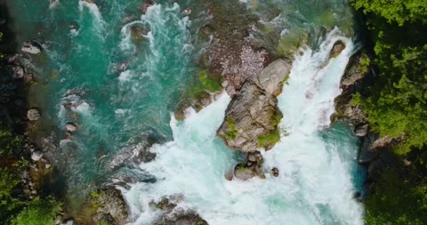 Top down view of fast moving river surrounded by pine forest. Canada Stock Footage 252241757