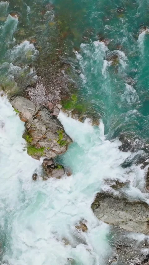 Top down view of fast moving river surrounded by pine forest. Canada Stock Footage 314836784