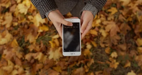 Top down view of female hands holding mobile phone making photo of yellow autumn Stock Footage 120006976