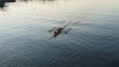 Top Down View Of Female Rowing Team In Halifax Bay During Early Morning Practice Stock Footage 317901073