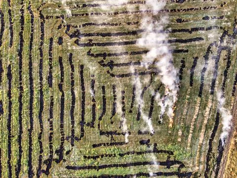 Top down view of fire on the field after harvest Stock Photos