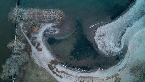 Top Down View of Flock of Ducks in Shallow Water at Bronte Harbour Shoreline Stock Photos