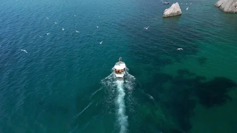Top down view flock of seagulls flying over the fishing boat Stock Footage 246391113
