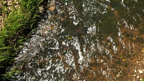 Top-down-view of a flowing stream in 4K. | Stock Video | Pond5