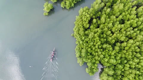 A top-down view follows a small outrigger boat as it glides along a tranquil Stock Footage 336709794
