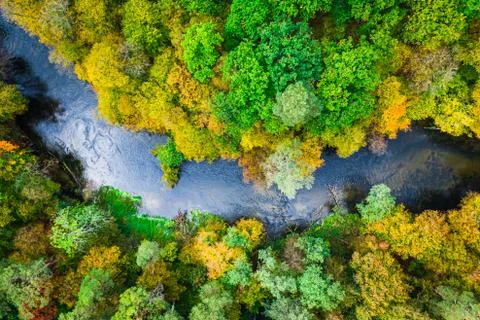 Top down view of forest and river in autumn Stock Photos