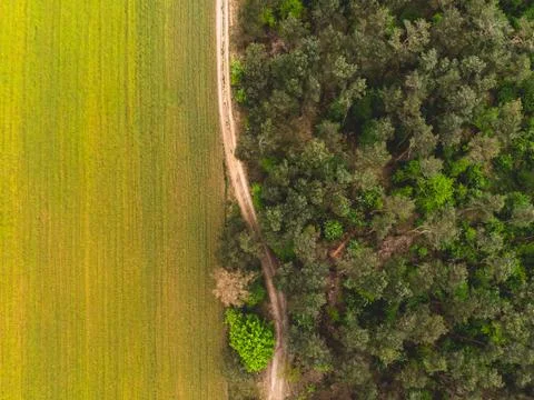 Top down view of forest and field Stock Photos