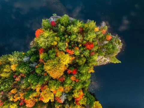 Top down view of a forest in autumn surrounded by lake Stock Photos