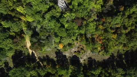 Top Down View of Forest Canopy with Cables Leading to Lookout Stock Footage 325784395