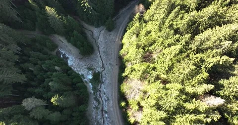 Top down view of the forest with a country road. Movement following the road Stock Footage 201489732