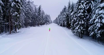 Top down view of the forest in winter. Winter landscape in the forest. Flying Stock Footage 85706776