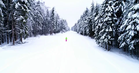 Top down view of the forest in winter. Winter landscape in the forest. Flying Stock Footage 85706832