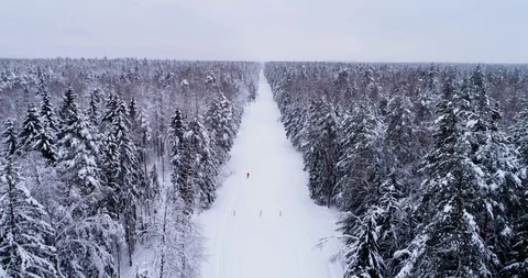 Top down view of the forest in winter. Winter landscape in the forest. Flying Stock Footage 85707829