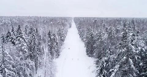 Top down view of the forest in winter. Winter landscape in the forest. Flying Stock Footage 85707871