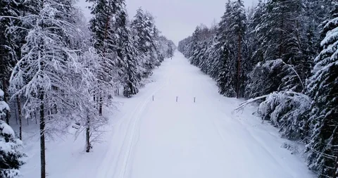 Top down view of the forest in winter. Winter landscape in the forest. Flying Stock Footage 85707903