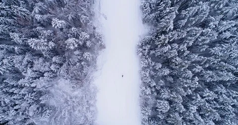 Top down view of the forest in winter. Winter landscape in the forest. Flying Stock Footage 85708085
