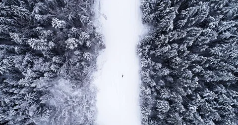 Top down view of the forest in winter. Winter landscape in the forest. Flying Stock Footage 85708101