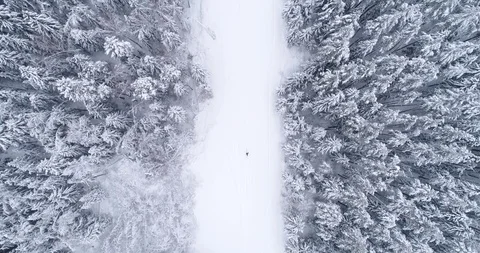Top down view of the forest in winter. Winter landscape in the forest. Flying Stock Footage 85708145