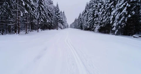Top down view of the forest in winter. Winter landscape in the forest. Flying Stock Footage 85708175