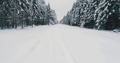 Top down view of the forest in winter. Winter landscape in the forest. Flying Stock Footage 85708211