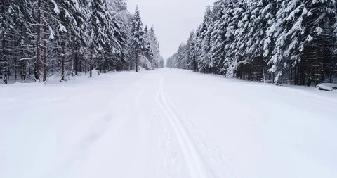 Top down view of the forest in winter. Winter landscape in the forest. Flying Stock Footage 85708233
