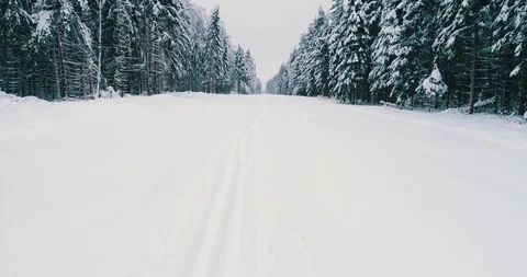 Top down view of the forest in winter. Winter landscape in the forest. Flying Stock Footage 85708248