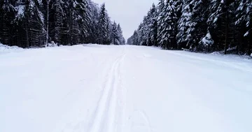 Top down view of the forest in winter. Winter landscape in the forest. Flying Stock Footage 85708284