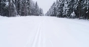 Top down view of the forest in winter. Winter landscape in the forest. Flying Stock Footage 85708294