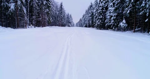 Top down view of the forest in winter. Winter landscape in the forest. Flying Stock Footage 85708320