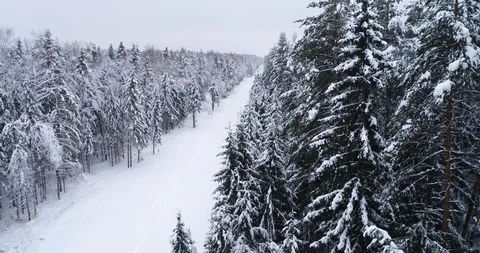 Top down view of the forest in winter. Winter landscape in the forest. Flying Video stock 85722342