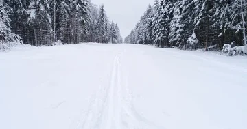 Top down view of the forest in winter. Winter landscape in the forest. Flying Video stock 85722427